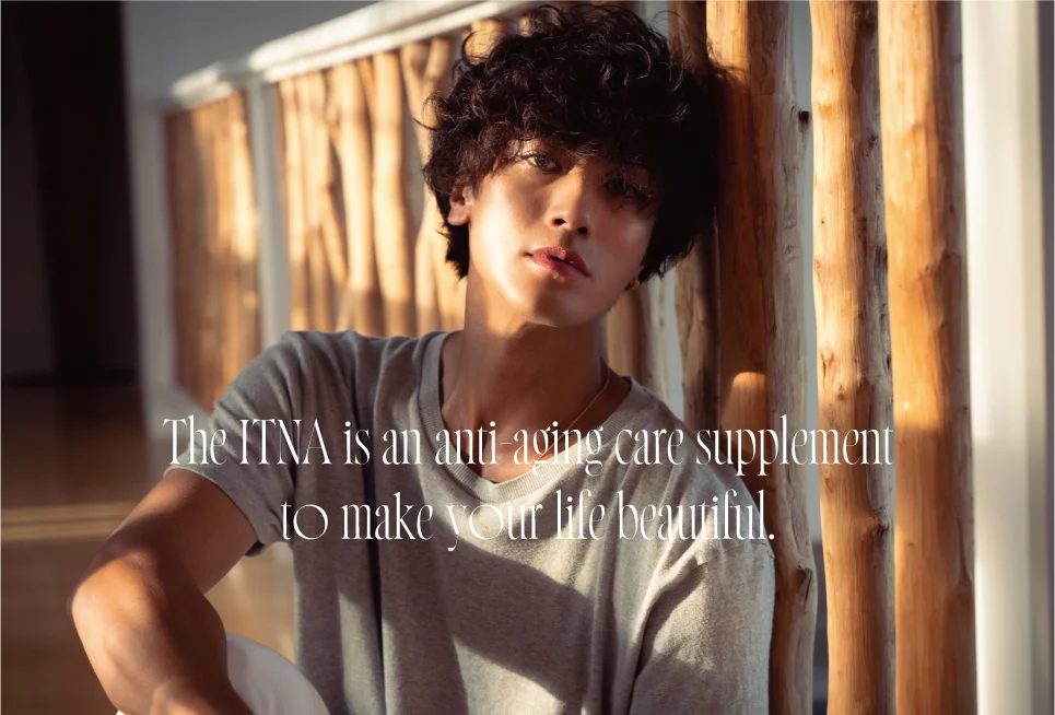 the ITNA — キービジュアル